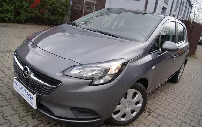 chorzele Opel Corsa cena 33900 przebieg: 118562, rok produkcji 2015 z Chorzele